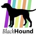 BH Logo
