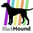 Blackhound logo