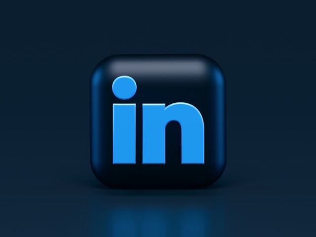 LinkedIn Logo icon
