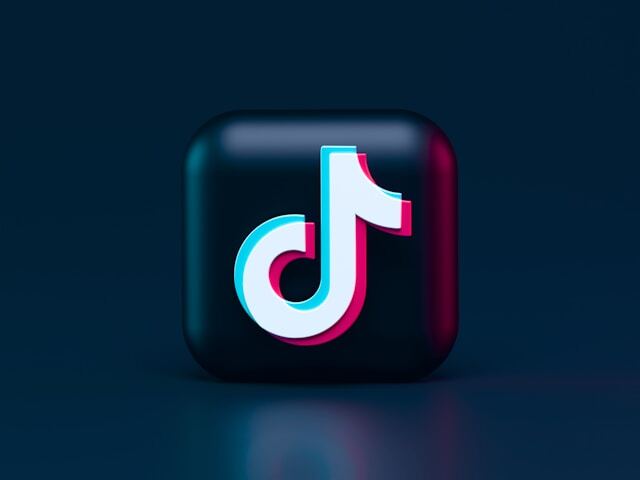 TikTok Logo Icon